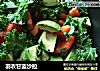羽衣甘蓝沙拉的做法