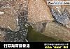 竹荪海带排骨汤的做法
