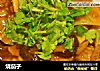 烧茄子的做法