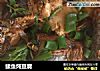 鲅鱼炖豆腐的做法