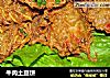 牛肉土豆饼的做法