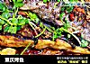 重庆烤鱼的做法