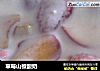 草莓山楂酸奶的做法