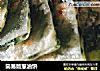 简易版葱油饼的做法