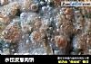 水饺皮葱肉饼的做法