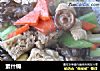 素什锦做法(4)的做法