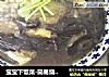 宝宝下饭菜-简易烧茄子的做法