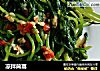 凉拌茼蒿的做法