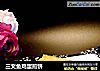 三文鱼鸡蛋煎饼的做法