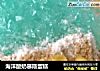 海洋酸奶慕斯蛋糕的做法