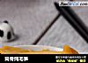 筒骨炖毛笋的做法
