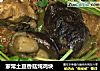 家常土豆香菇炖鸡块的做法
