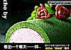 卷出一个春天——抹茶草莓蛋糕卷的做法