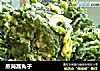 蒸茼蒿丸子的做法