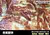 香蕉甜饼的做法