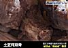 土豆炖排骨的做法
