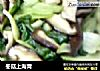 冬菇上海青的做法