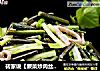 砖家说【蕨菜炒肉丝】吃了会致癌的做法