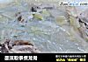 酸菜粉条煮龙骨的做法