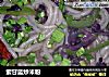 紫甘蓝炒米粉的做法