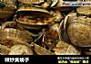 辣炒黄蚬子的做法