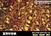 豆芽炒粉条的做法