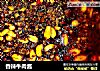 香辣牛肉酱的做法