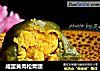 咸蛋黄肉松青团的做法