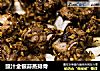 豉汁金银蒜蒸排骨的做法