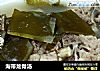 海带龙骨汤的做法