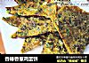香椿香葱鸡蛋饼的做法