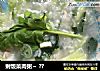 剩饭菜肉粥~?的做法