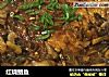 红烧鲳鱼的做法