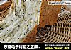 东菱电子烤箱之芝麻土司的做法