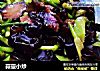 蒜薹小炒的做法