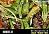 泡椒鸡珍的做法