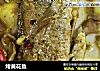 烤黄花鱼的做法