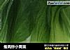 瘦肉炒小青菜的做法