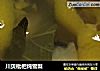 川贝枇杷炖雪梨的做法