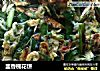 韭香槐花饼的做法