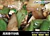 风味香干炒肉的做法