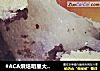 #ACA烘焙明星大赛#红豆麻薯面包的做法