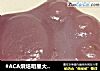 #ACA烘焙明星大赛#紫薯水晶萌爪/南瓜枣泥萌爪的做法