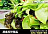 黑木耳炒青瓜的做法