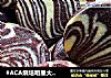 #ACA烘培明星大赛#石纹曲奇饼干的做法