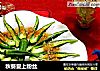 秋葵爱上粉丝的做法