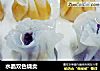 水晶双色烧卖的做法
