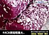 #ACA烘焙明星大赛#紫薯年糕的做法