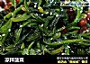 凉拌菠菜的做法
