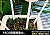 #ACA烘焙明星大赛#丑萌蛋糕棒棒糖的做法